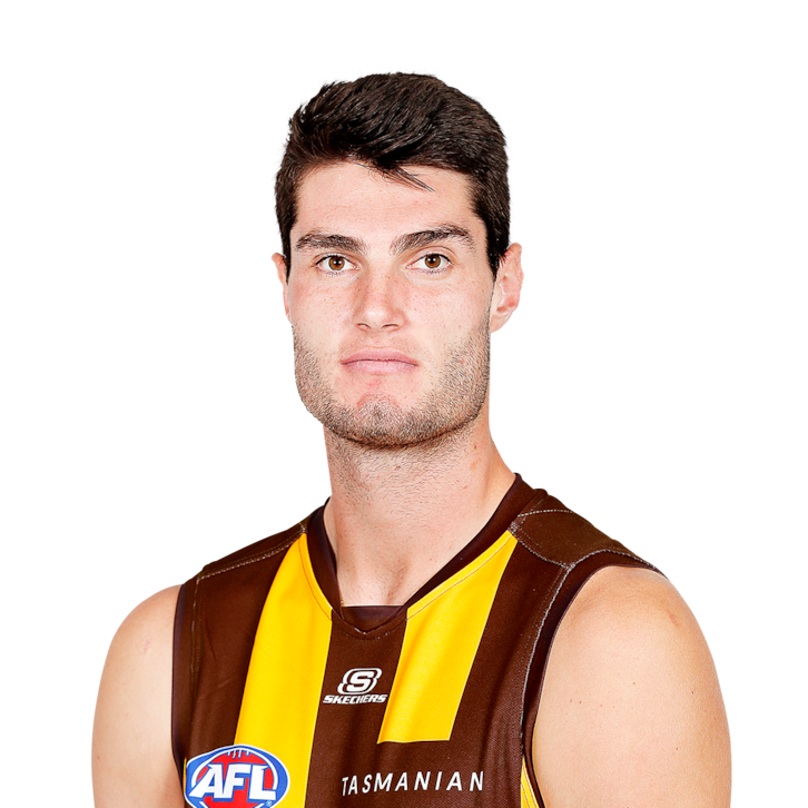 Hawthorn Hawks News AFL 2024 Zero Hanger